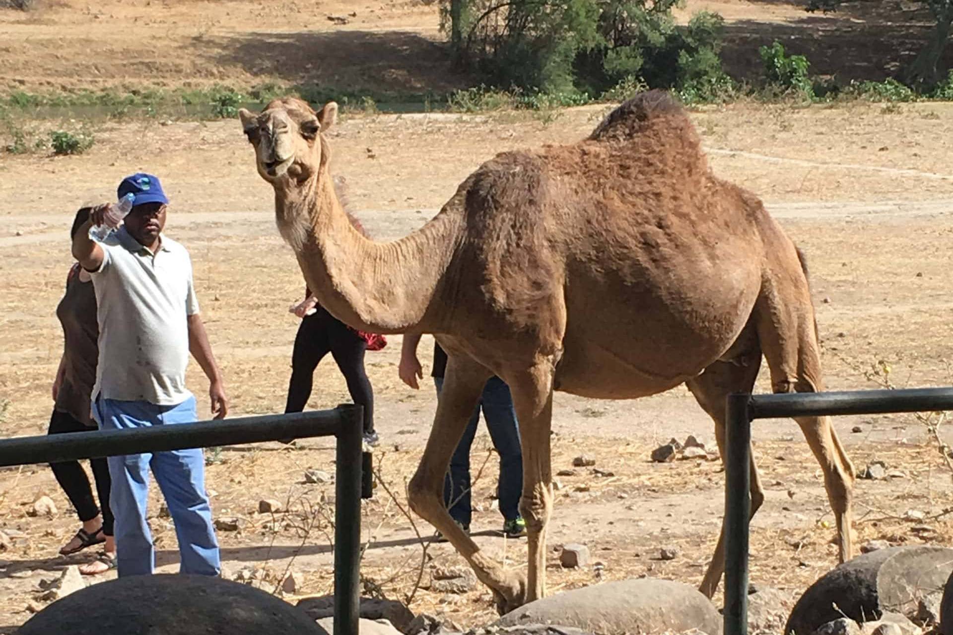 Blog - Group tours Omani cities, historical sites 