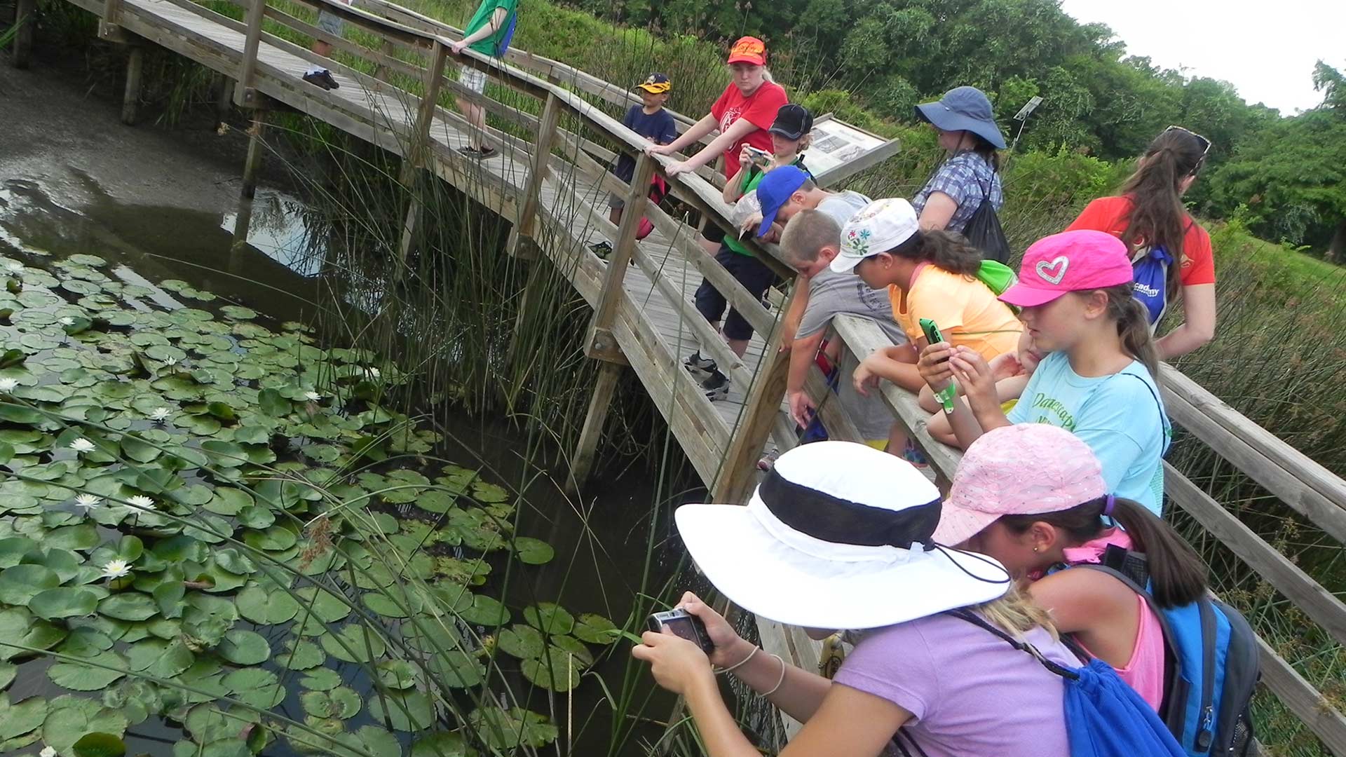 Kids closely observe and photograph plants on the UH-Clear Lake campus
