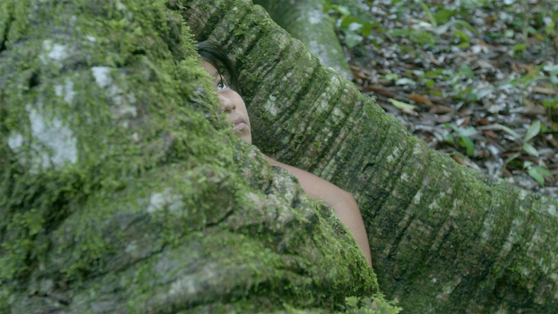A person among the roots of a tree in the forest