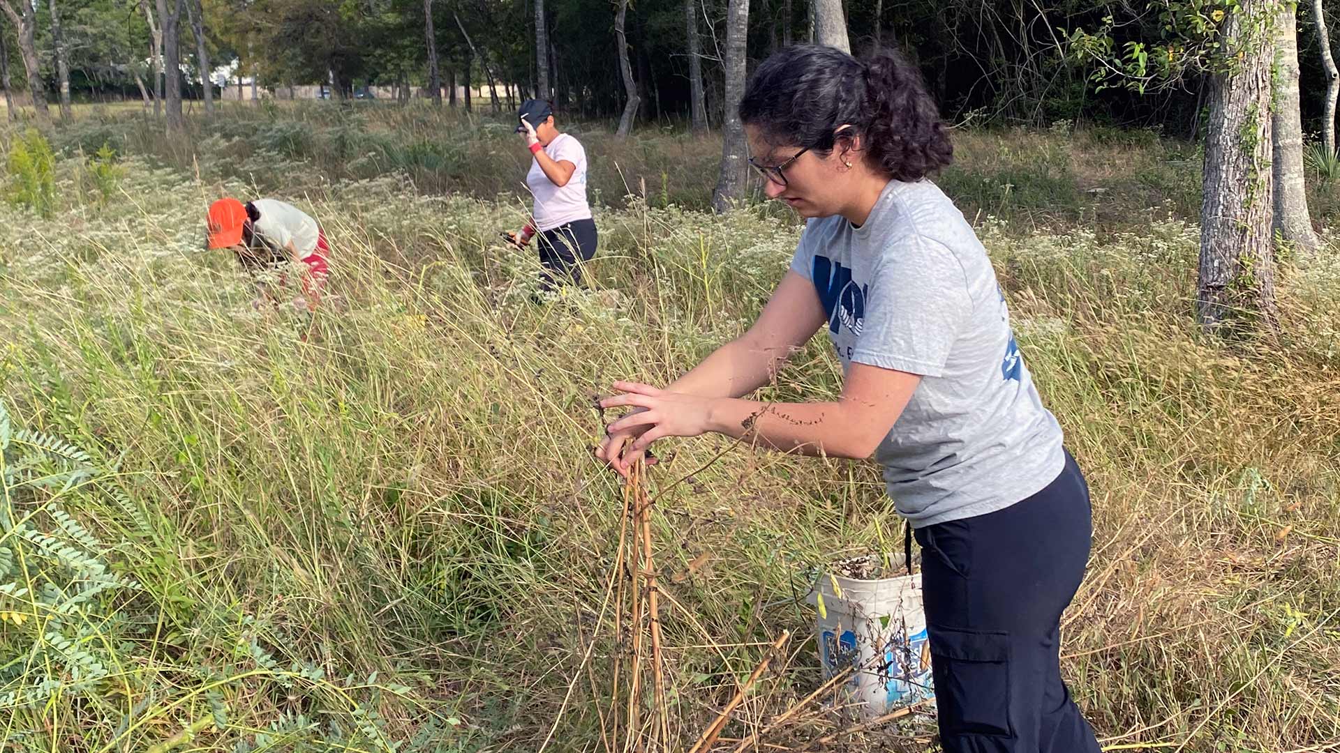 Planting event to help UHCL restore native plants to campus, support environmental sustainability