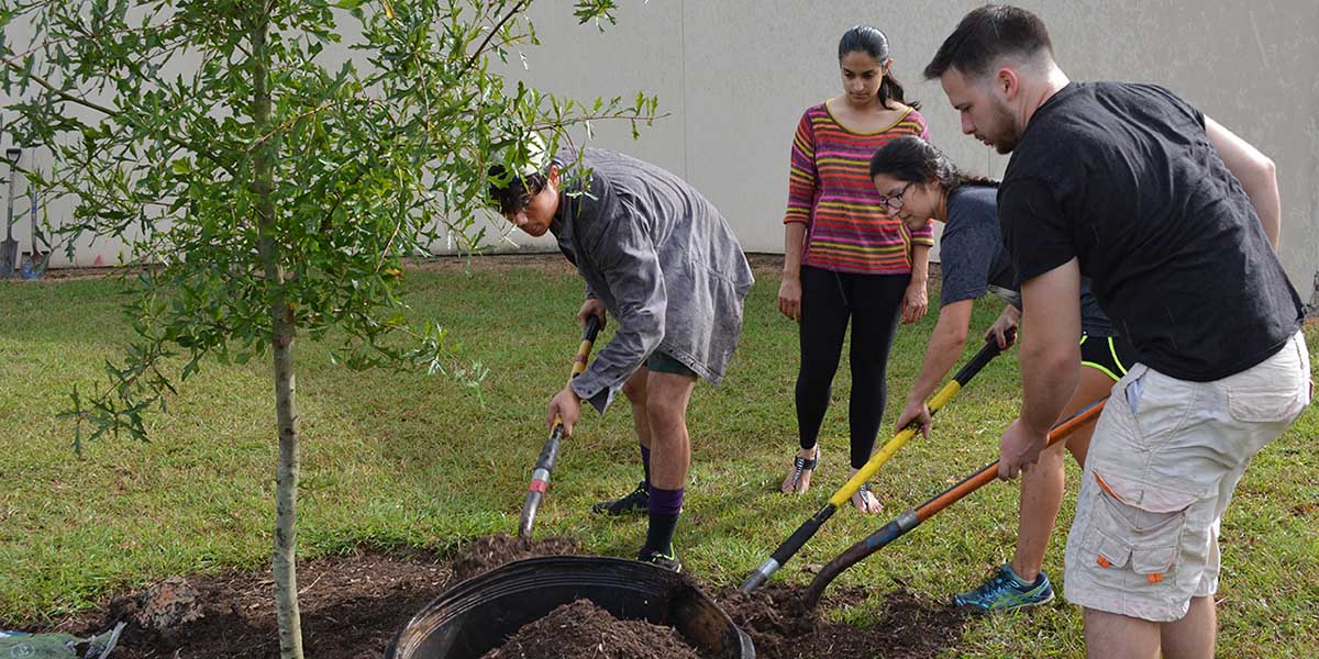 UHCL Pearland Campus tree planting 2016